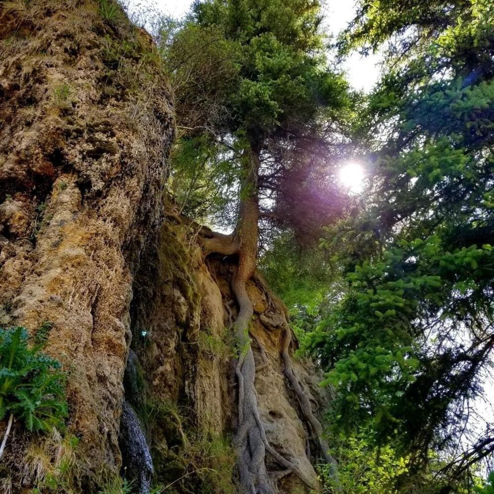 Meet your Posher, Susana